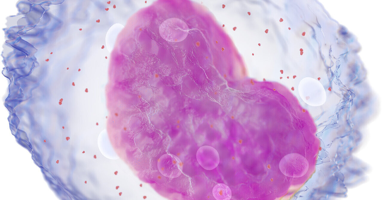 Reactive monocytes (RE-MONO) - Sysmex parameter